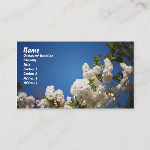 Customizable White Cherry Blossoms Against Blue Background Business Card