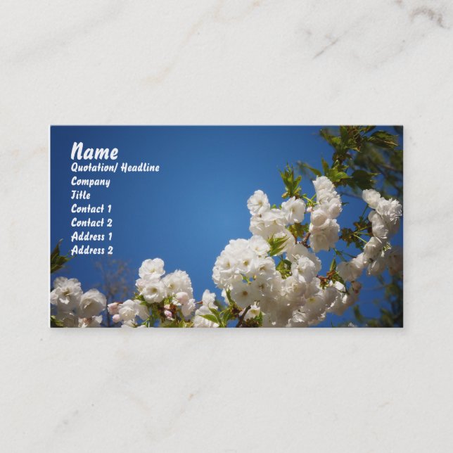 White Cherry Blossoms Against Blue Background Business Card (Front)