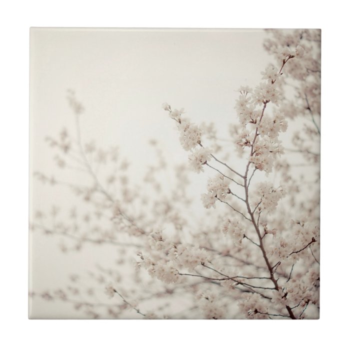 White Cherry Blossoms   Central Park Spring Tile