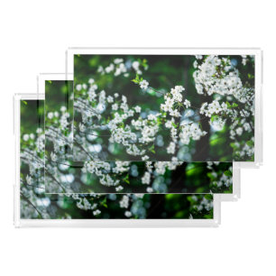 White Cherry Blossoms Green Leaves Acrylic Tray