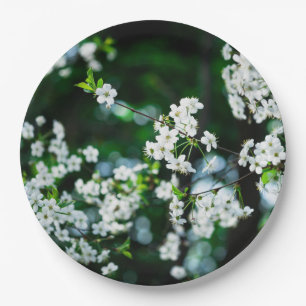 White Cherry Blossoms Green Leaves Paper Plates