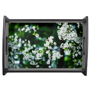 White Cherry Blossoms Green Leaves Serving Tray