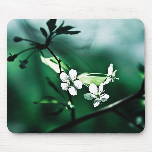 White Cherry Blossoms Mouse Pad (Front)