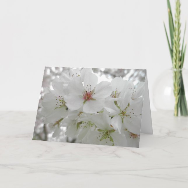 White Cherry Blossoms Photo Card (Front)