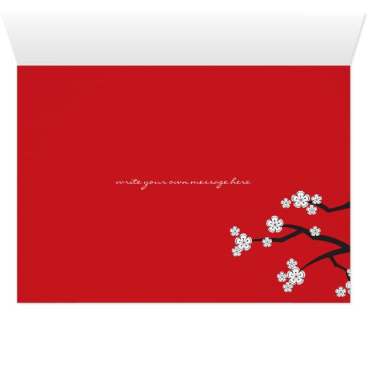 White Cherry Blossoms Sakura Spring Flowers Branch (Inside Horizontal (Bottom))