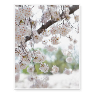 White Cherry Blossoms Temporary Tattoos
