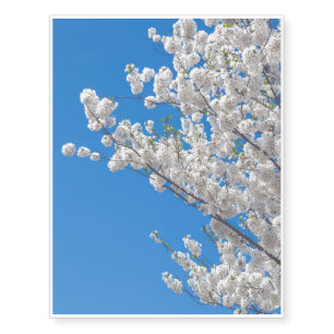 White Cherry Blossoms Temporary Tattoos