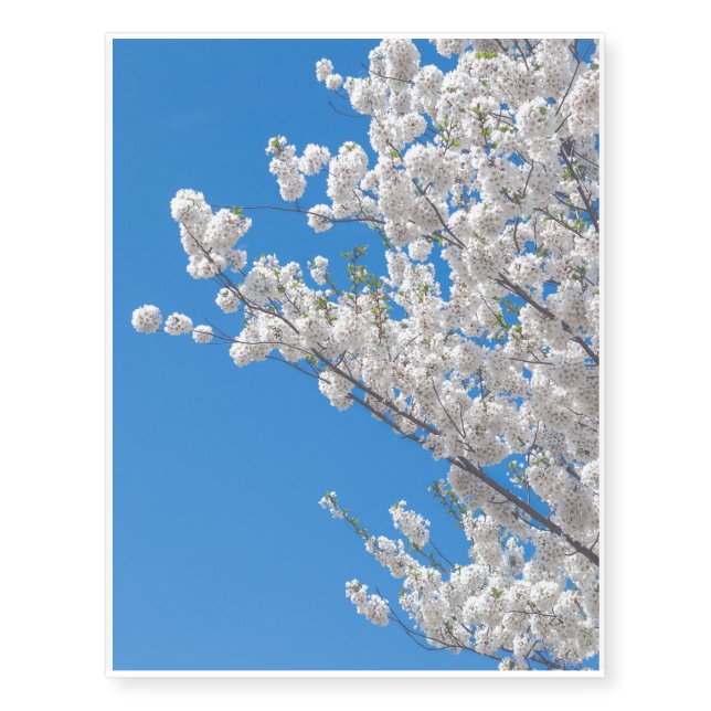 White Cherry Blossoms Temporary Tattoos (Front)