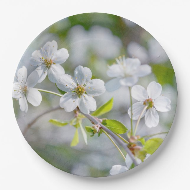White Cherry Flower Paper Plates (Front)