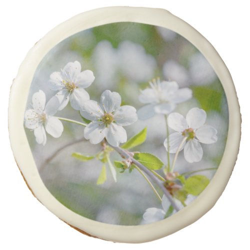 White Cherry Flower Sugar Cookie