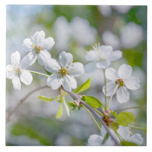 White Cherry Flower Tile
