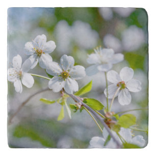 White Cherry Flower Trivet