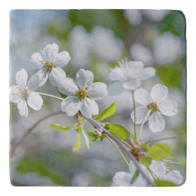 White Cherry Flower Trivet (Front)