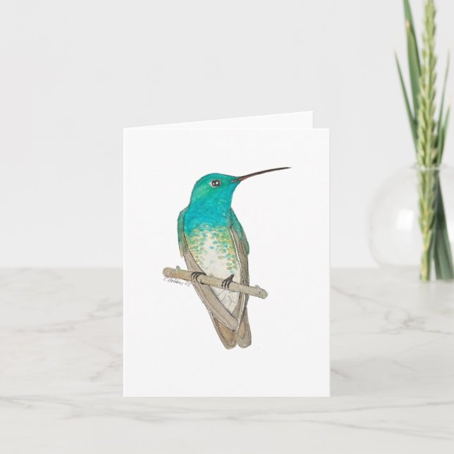 White-chested Emerald Hummingbird Thank You Card (Front)