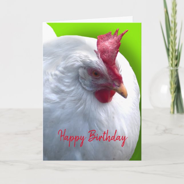 White Chicken Birthday Card (Front)