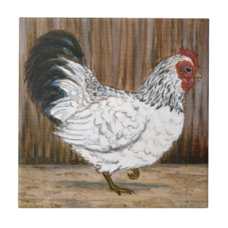 White Chicken Ceramic Tile
