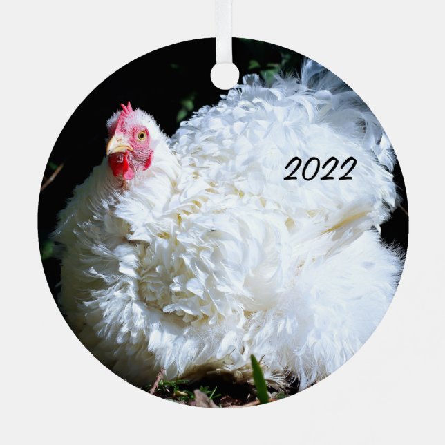 White Chicken - Frizzled Cochin Bantam Pet Metal Ornament (Back)