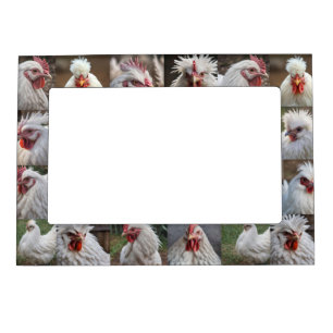 White Chicken Photo Collage,  Magnetic Frame