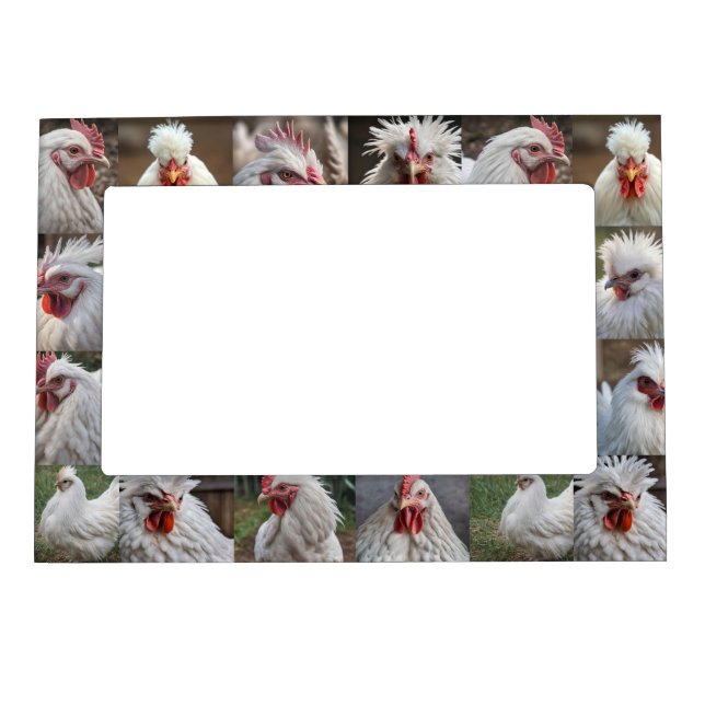 White Chicken Photo Collage,  Magnetic Frame (Front)