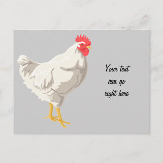 White Chicken Postcard