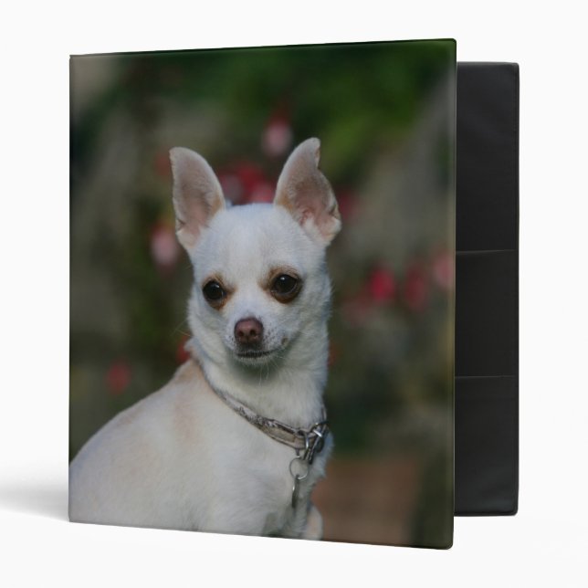 White Chihuahua 3 Ring Binder (Front/Inside)