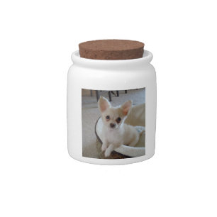 White Chihuahua Candy Jar