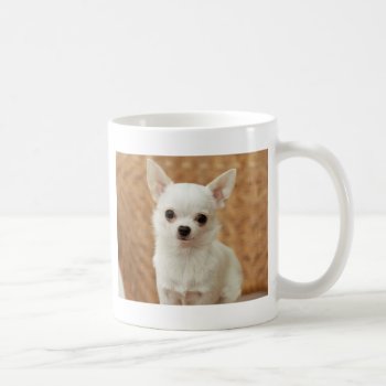 White Chihuahua Coffee Mug by walkandbark at Zazzle