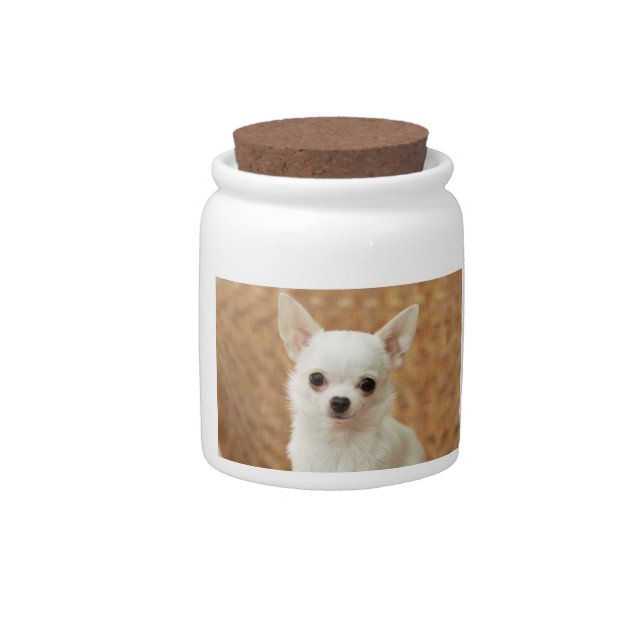 White Chihuahua Dog Treat Candy Jar (Front)