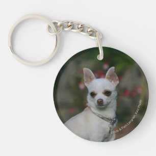 White Chihuahua Keychain