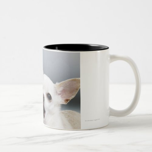 White Chihuahua licking lips Two_Tone Coffee Mug