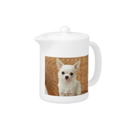 White Chihuahua Teapot