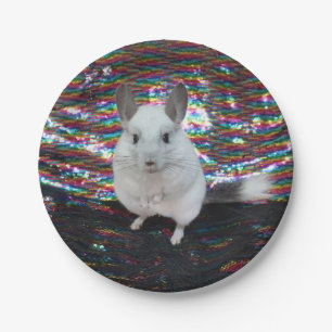 White Chinchilla superstar Paper Plates