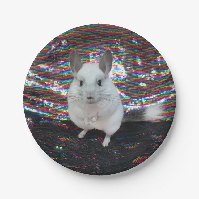 White Chinchilla superstar Paper Plates (Front)
