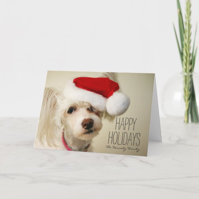 White chinese crested powderpuff dog holiday card (Front)