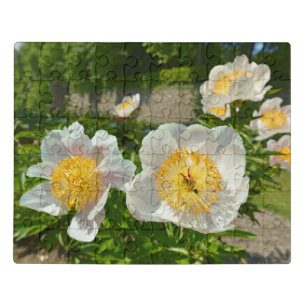 White Chinese peonies flowers Postcard Coffee Mug Jigsaw Puzzle
