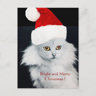 WHITE CHRISTMAS CAT WITH SANTA CLAUS HAT HOLIDAY POSTCARD