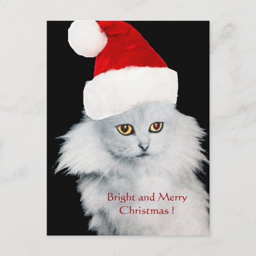 WHITE CHRISTMAS CAT WITH SANTA CLAUS HAT HOLIDAY POSTCARD