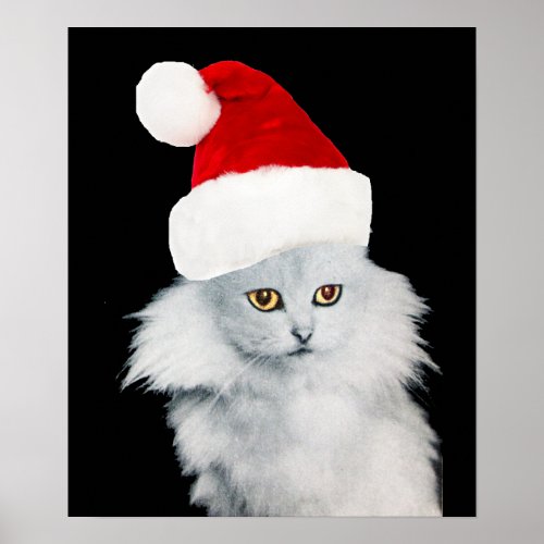 WHITE CHRISTMAS CAT WITH SANTA CLAUS HAT POSTER