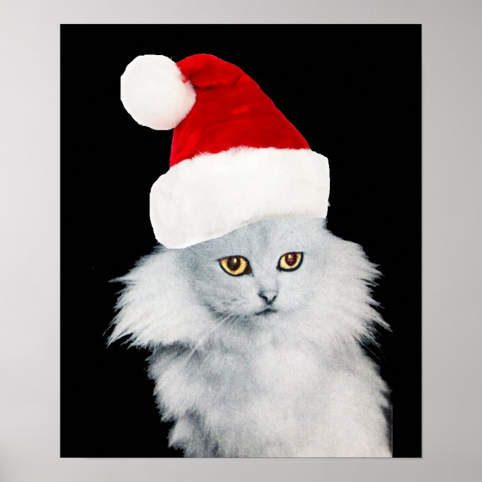 WHITE CHRISTMAS CAT WITH SANTA CLAUS HAT PRINT