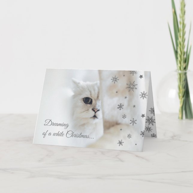 White Christmas Cute Cat Holiday Card (Front)