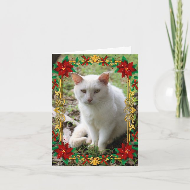 White Christmas Dream Cat Holiday Card Folded (Front)