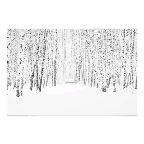 White Christmas Tale Photo Print