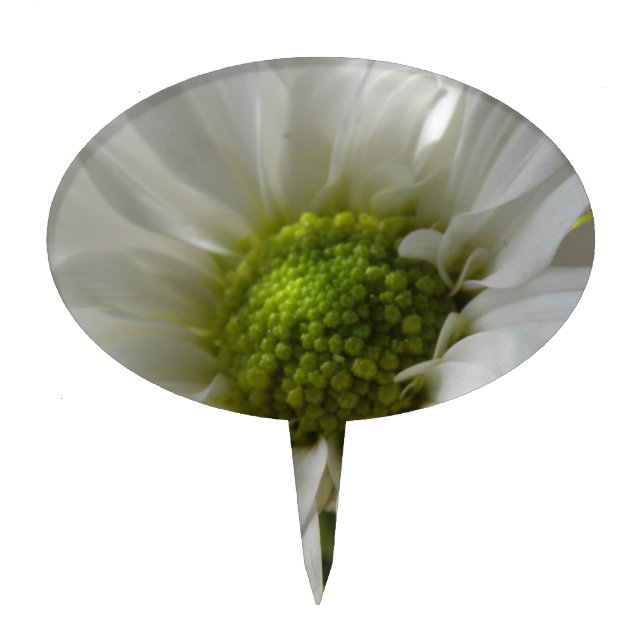 White Chrysanthemum Cake Pick (Front)