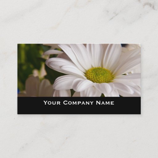 Customizable White Chrysanthemum flower Custom Business Cards