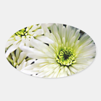 White Chrysanthemum oval stickers