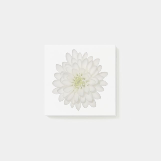 White Chrysanthemum Sticky Notes (Front)