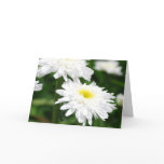 White Chrysanthemums Greeting Cards
