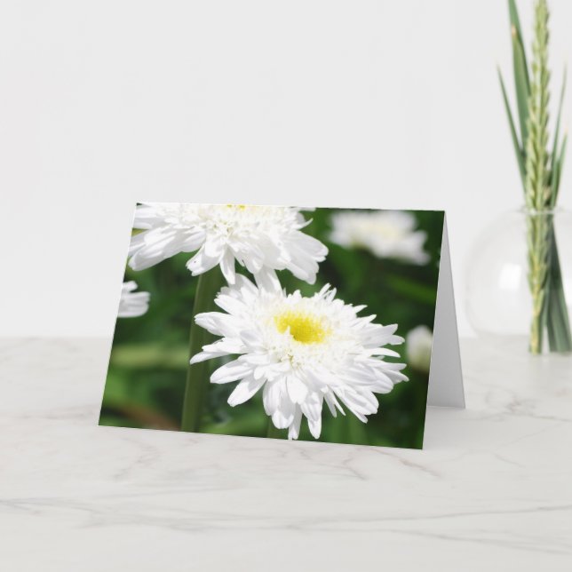 White Chrysanthemums Greeting Cards (Front)