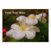White Clematis Floral Art Photo Card (Front Horizontal)