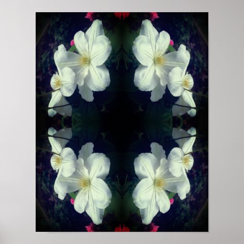 White Clematis Flower Pair Abstract  Poster